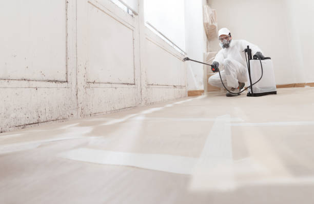 24/7 Emergency Attic Mold Removal experts in Belleville, NJ