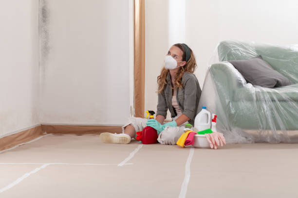 Reliable Mold Cleanup contractor in Belleville, NJ by Cheap Mold Removal